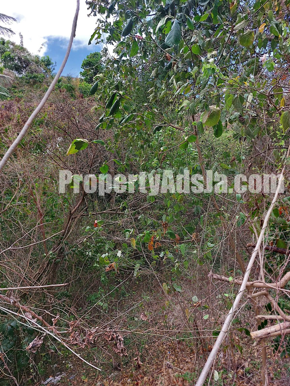 Residential lot For Sale in Belvedere, Kingston / St. Andrew Jamaica