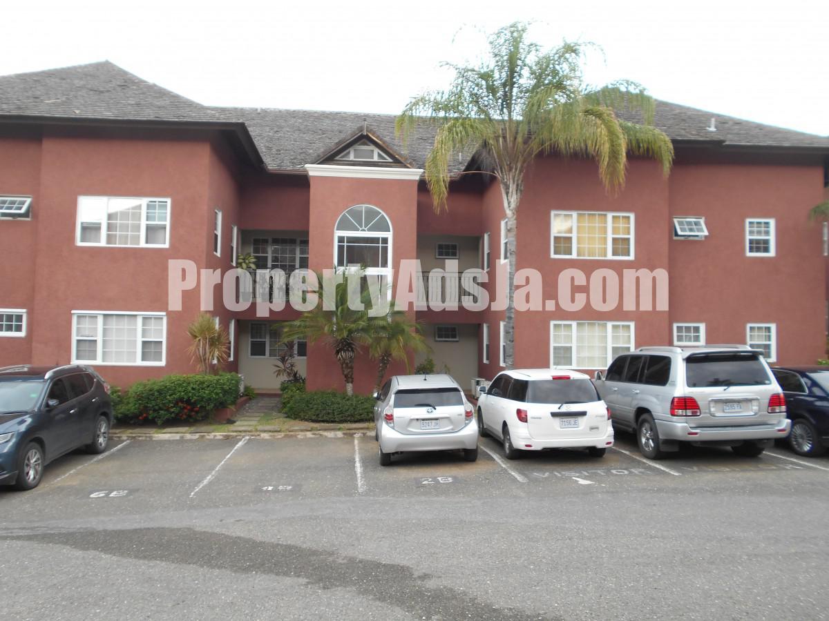 Apartment For Rent in Kingston 6, Kingston / St. Andrew Jamaica