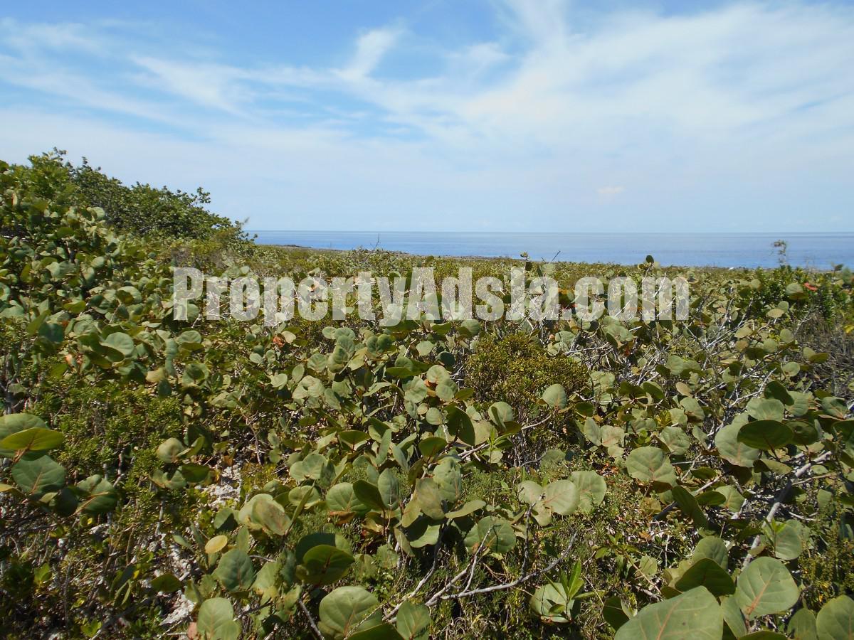 Residential lot For Sale in Galina, St. Mary Jamaica