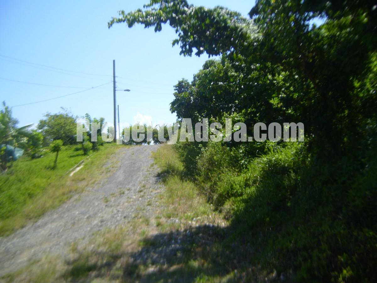 Residential lot For Sale in Orange Bay, Portland Jamaica