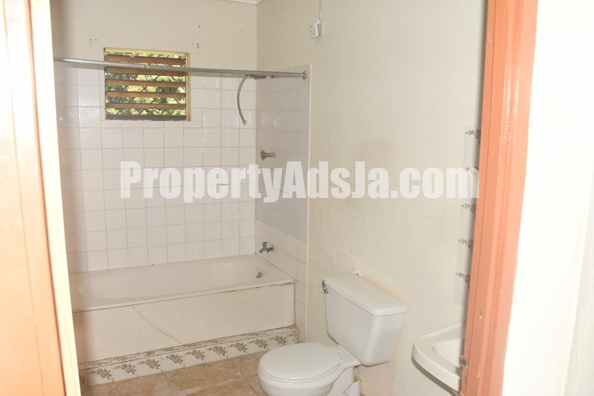 Commercial/farm land For Rent in Black River, St. Elizabeth Jamaica