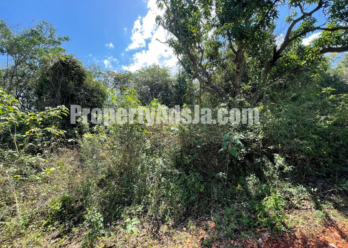 Residential lot For Sale in Spring Garden Run, St. Catherine