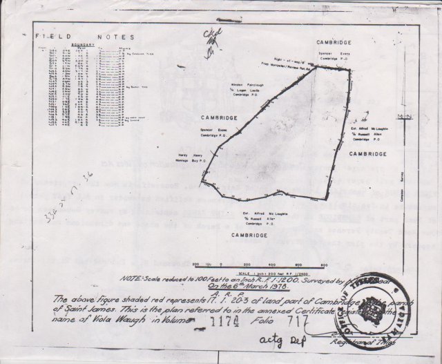Commercial/farm land For Rent in Cambridge, St. James Jamaica