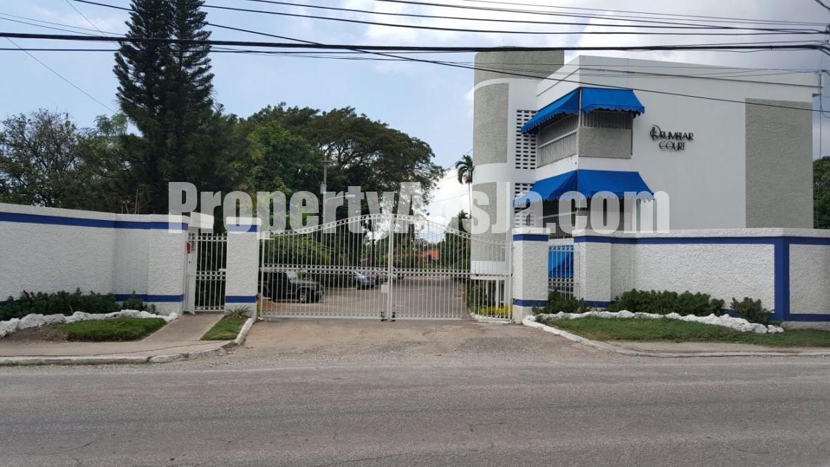 Apartment For Rent in Drumblair Court, Kingston / St. Andrew Jamaica