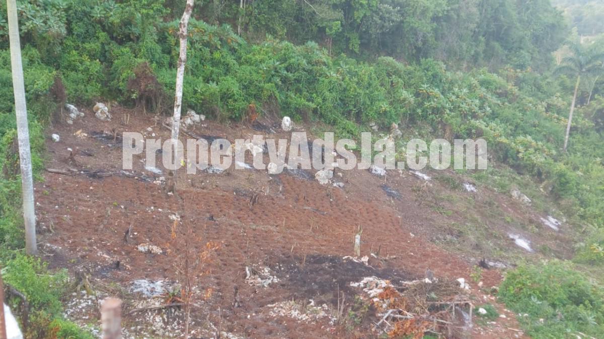 Residential lot For Sale in Rock Hall, Kingston / St. Andrew Jamaica
