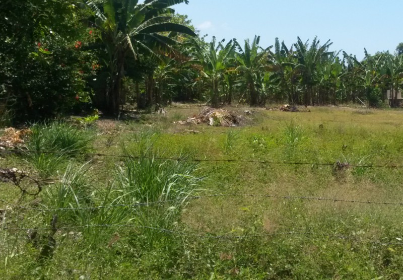 Residential lot For Sale in out in Mammee Bay area, St. Ann Jamaica
