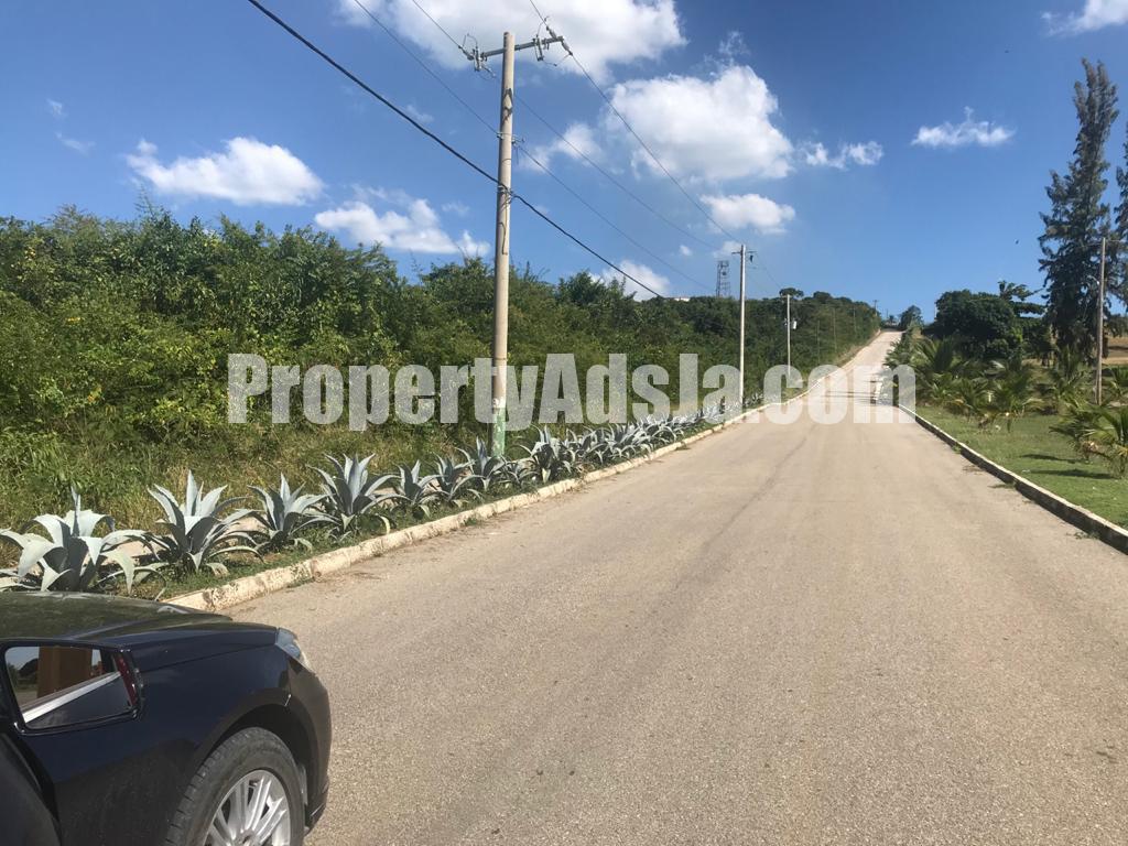 Apartment For Sale in Real Estate, Kingston / St. Andrew Jamaica