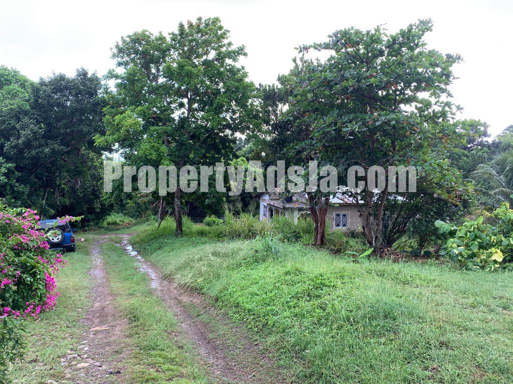 House For Sale in Islington, St. Mary Jamaica
