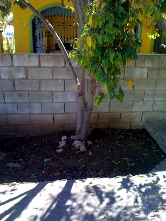 House For Sale in Gore Tuca, St. Catherine Jamaica