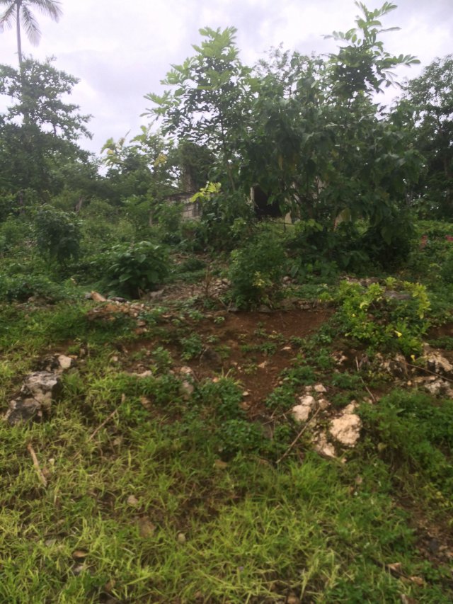 Residential lot For Sale in Balaclava, St. Elizabeth Jamaica