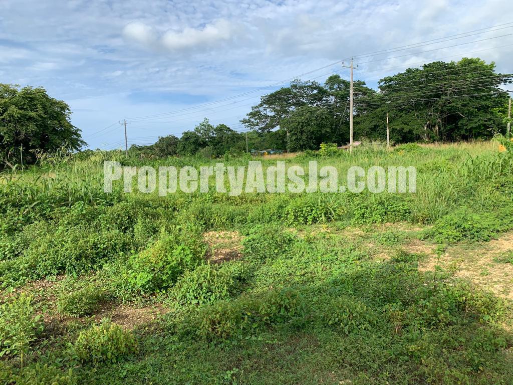 Resort/vacation property For Sale in Green Island, Hanover Jamaica