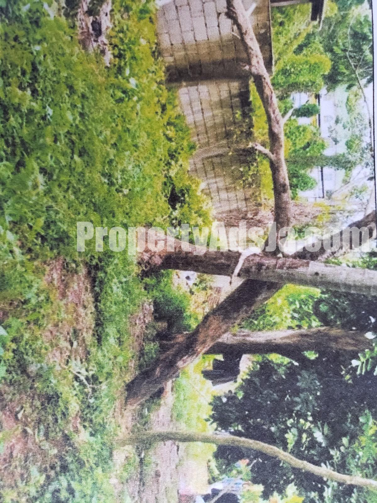 Commercial land For Sale in Linstead, St. Catherine Jamaica