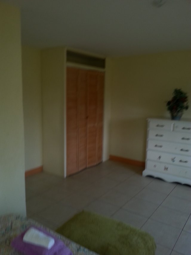 Apartment For Rent in St James, St. James Jamaica