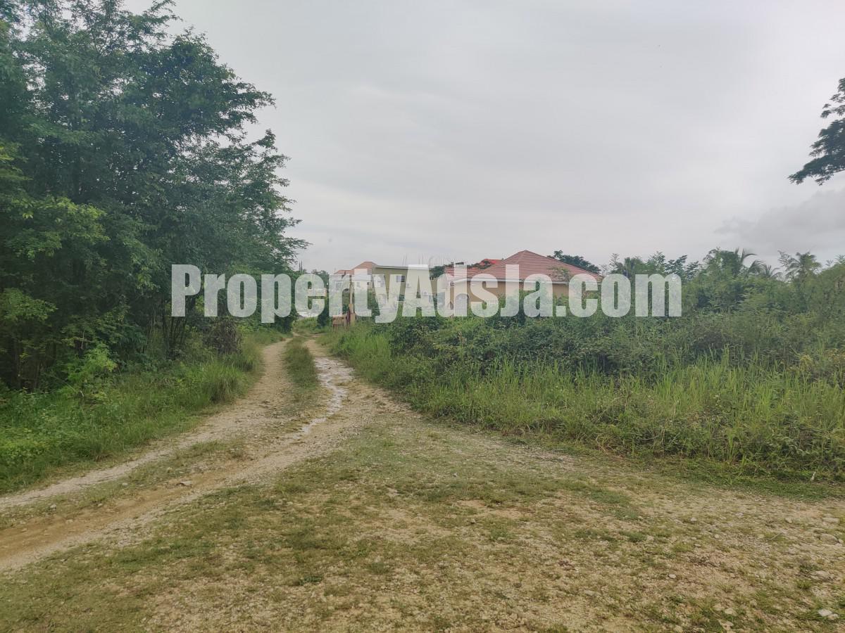 Residential lot For Sale in 232 Olive Park, St. Elizabeth Jamaica