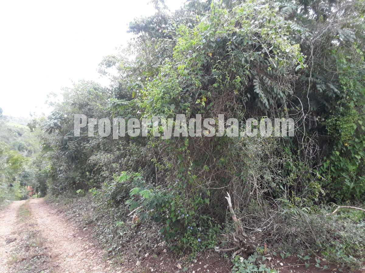 Residential lot For Sale in Cross Keys Manchester, Manchester Jamaica