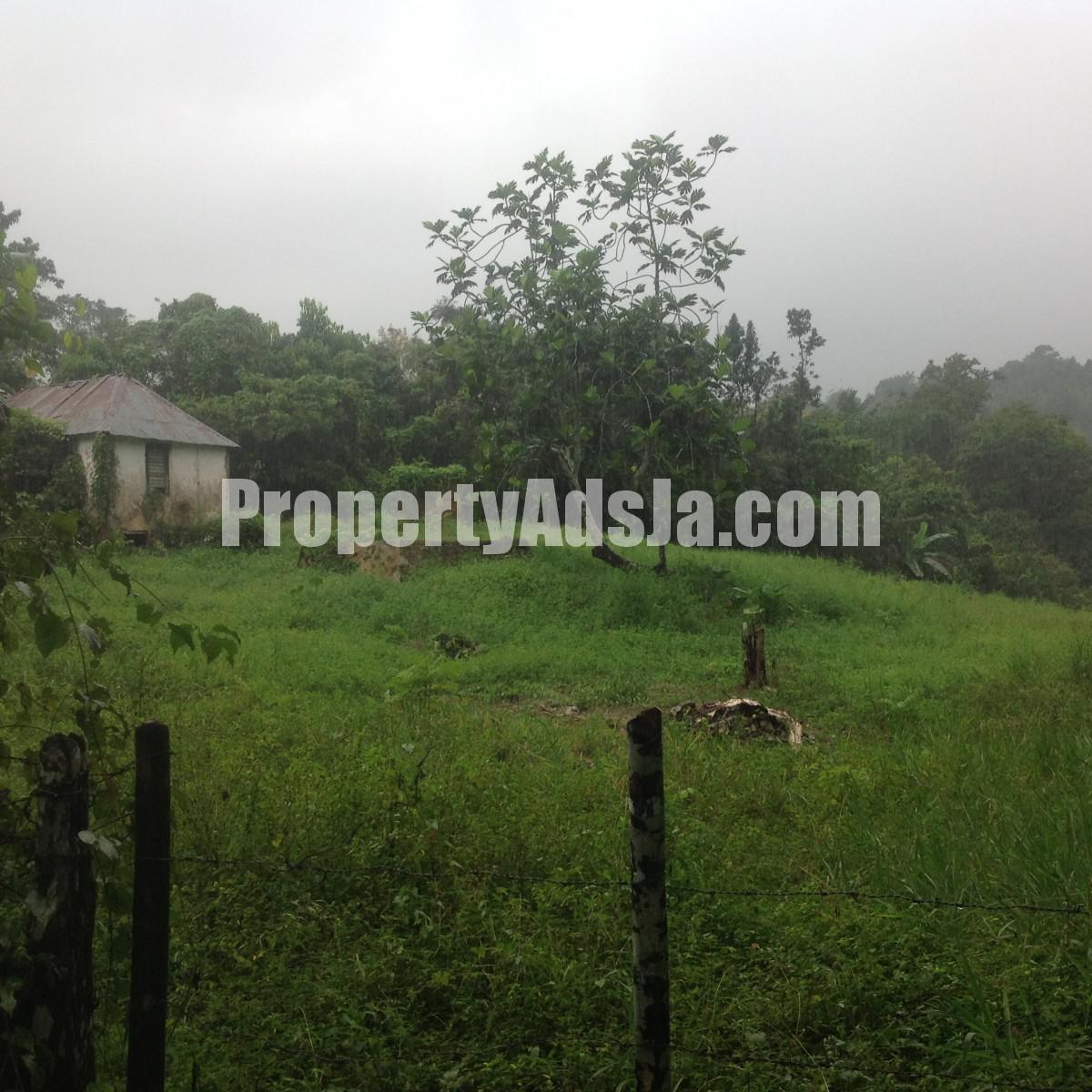 Residential lot For Sale in Claremont, St. Ann Jamaica