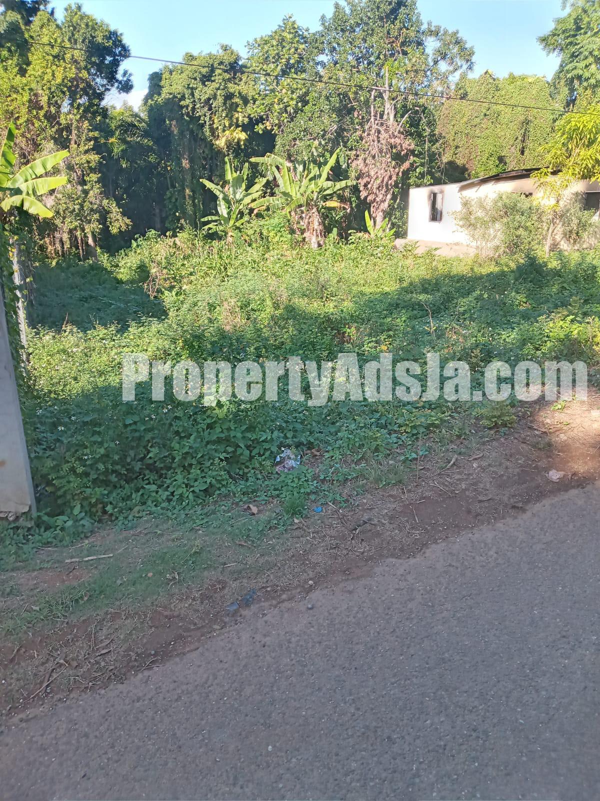 Residential lot For Sale in Oracabessa PO, St. Mary Jamaica