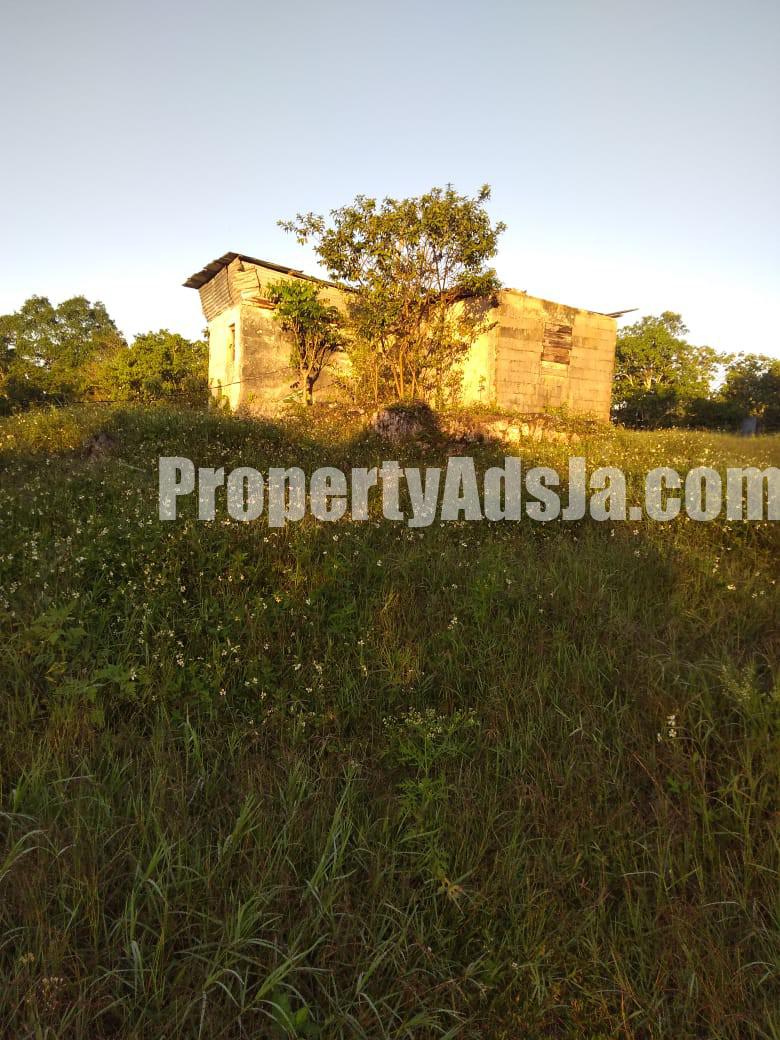 Commercial/farm land For Rent in Lydford St Ann, St. Ann Jamaica