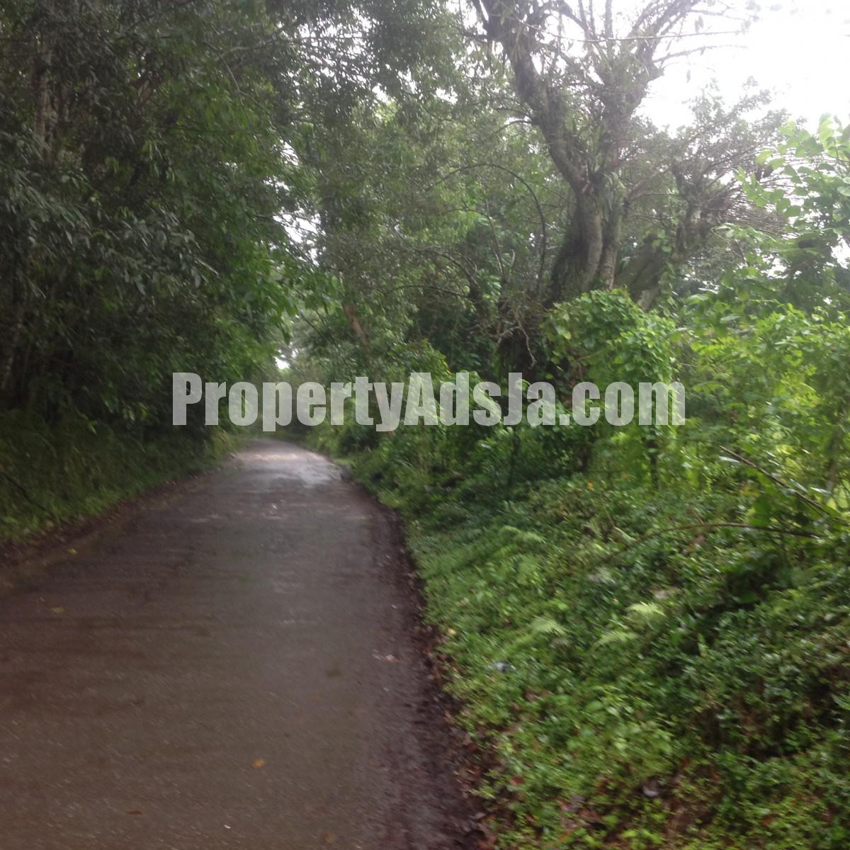 Residential lot For Sale in Claremont, St. Ann Jamaica