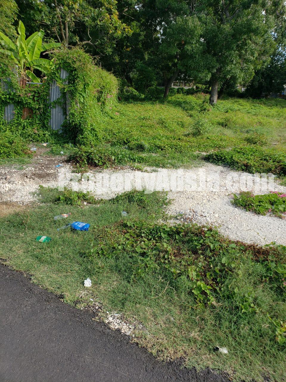 Land For Sale in Lionel town, Clarendon Jamaica