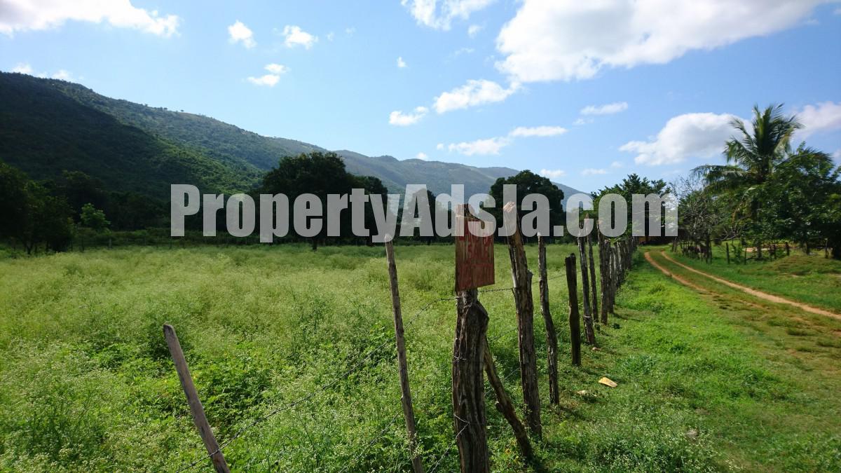 Residential lot For Sale in Orange Grove, St. Elizabeth Jamaica