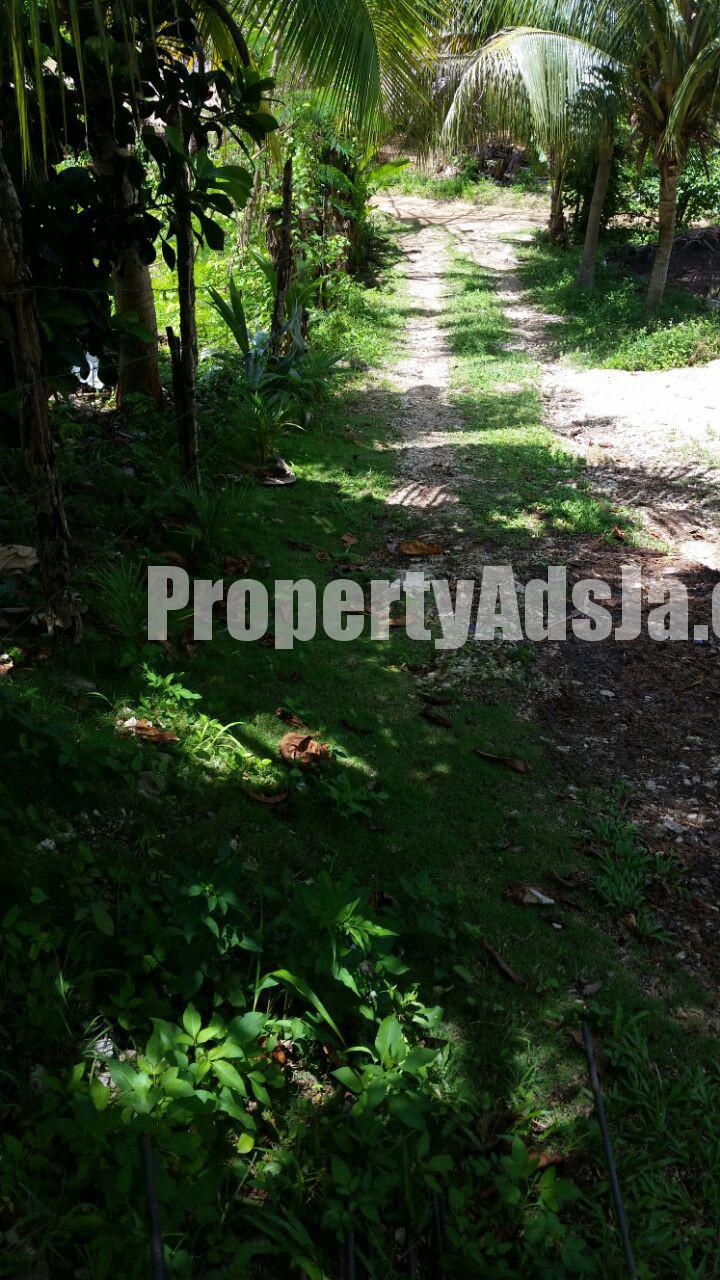 Residential lot For Sale in Hopewell Sheffield Road, Westmoreland