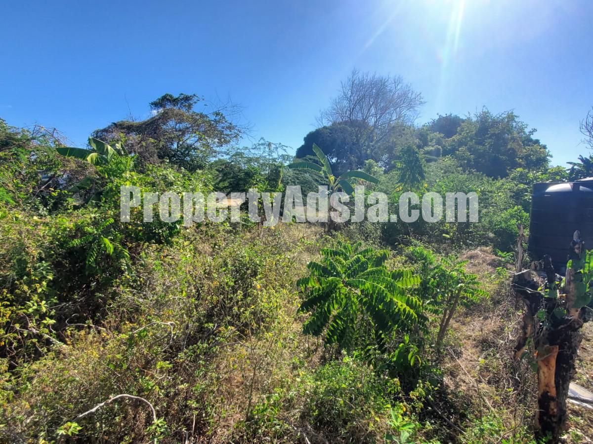 Residential lot For Sale in Albion Estate, St. Thomas Jamaica