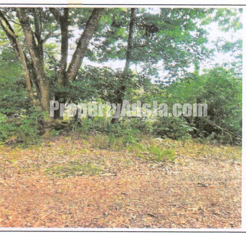 Residential lot For Sale in Elim District, St. Elizabeth Jamaica