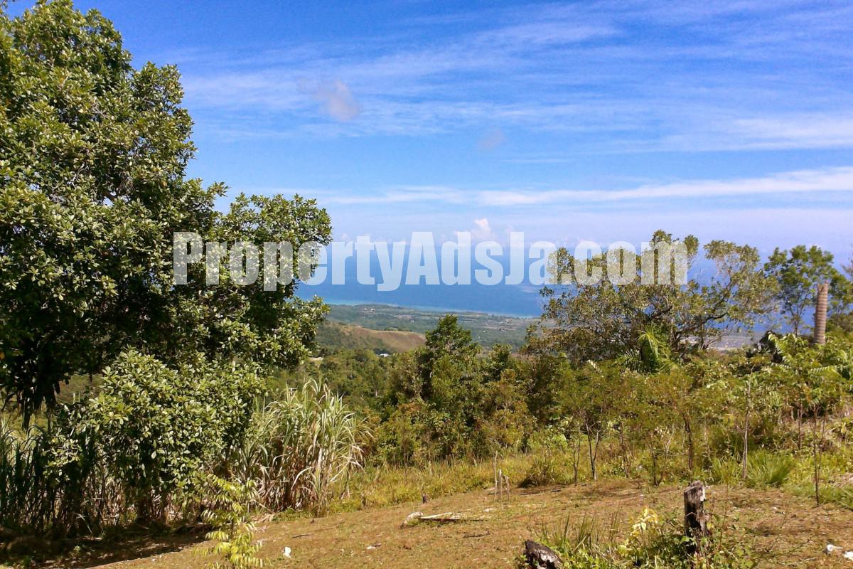 Residential lot For Sale in Bamboo, St. Ann Jamaica