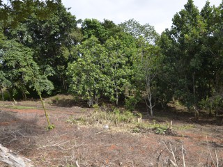 Residential lot For Sale in Pioria, Manchester Jamaica | [3]