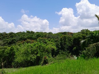 Land For Sale in Seaford Town, Westmoreland, Jamaica