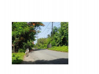 Residential lot For Sale in Kildare Buff Bay, Portland, Jamaica