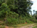 Residential lot For Sale in Stony Hill, Kingston / St. Andrew Jamaica | [7]