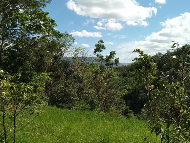 Land For Sale in Mile Gully, Manchester Jamaica | [2]