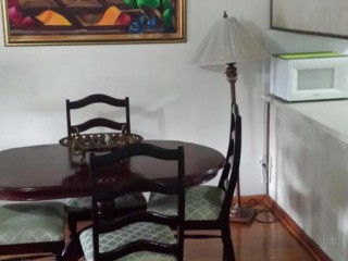 Apartment For Rent in Le Palais, Kingston / St. Andrew Jamaica | [2]