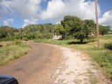 Commercial/farm land For Rent in Manchester, Manchester Jamaica | [6]