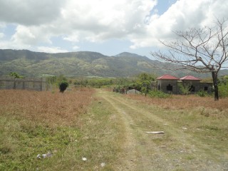 Residential lot For Sale in Blue Mountain Danvers Pen, St. Thomas Jamaica | [2]