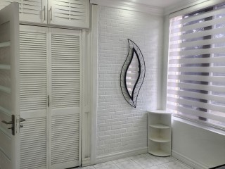 Apartment For Rent in New Kingston, Kingston / St. Andrew Jamaica | [7]