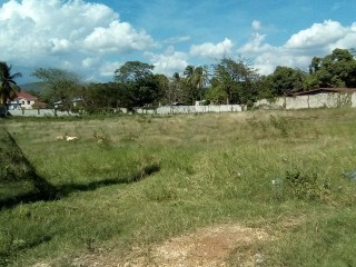 Commercial/farm land For Sale in Maypen, Clarendon Jamaica | [2]