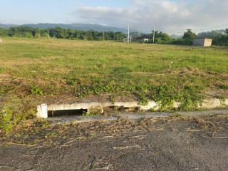 Residential lot For Sale in Paradise, Westmoreland Jamaica | [8]