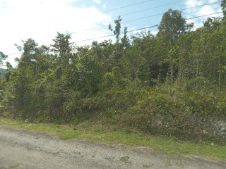 Commercial/farm land For Sale in Browns Town, St. Ann Jamaica | [4]