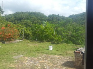House For Sale in SavannaLaMar, Westmoreland Jamaica | [5]