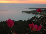 Residential lot For Sale in Tropical Sunshine Properties, Westmoreland Jamaica | [5]