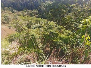 Residential lot For Sale in Mandeville, Manchester Jamaica | [2]