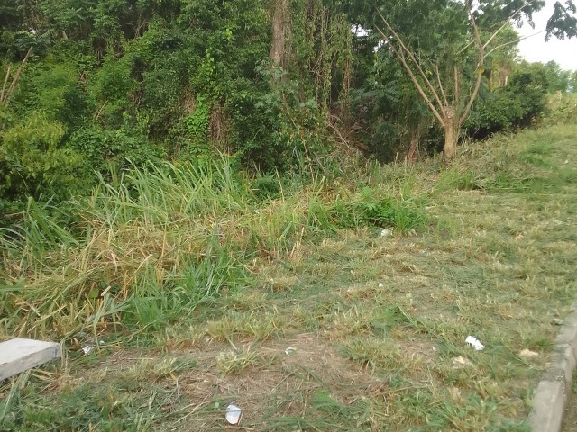 Residential lot For Sale in Chancery Hall, Kingston / St. Andrew Jamaica | [2]
