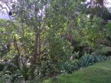 House For Sale in Pimento Hill, St. James Jamaica | [6]