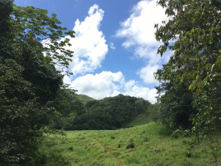 Residential lot For Sale in Chippenham Park Bamboo, St. Ann Jamaica | [11]