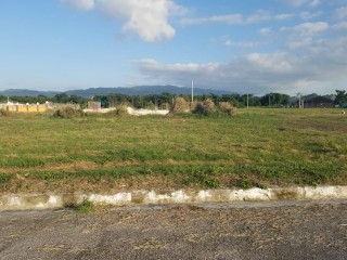 Residential lot For Sale in Paradise, Westmoreland Jamaica | [6]