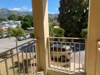 Apartment For Rent in Kingston 6, Kingston / St. Andrew Jamaica | [11]