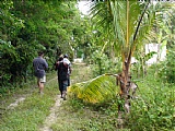 Residential lot For Sale in Negril, Westmoreland Jamaica | [5]